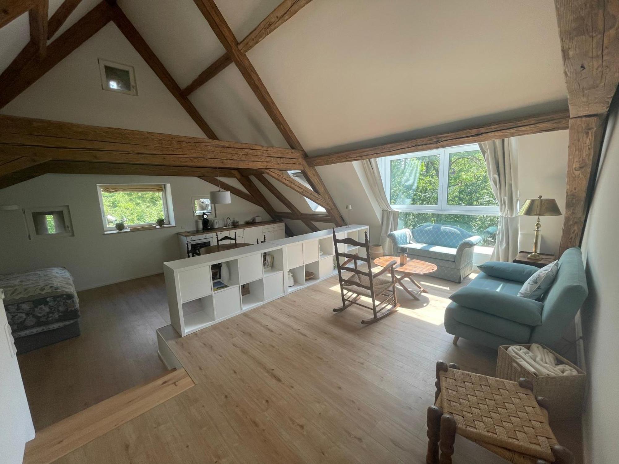Historische Muehle Von Cramm, 6 Apartments Döttingen 외부 사진